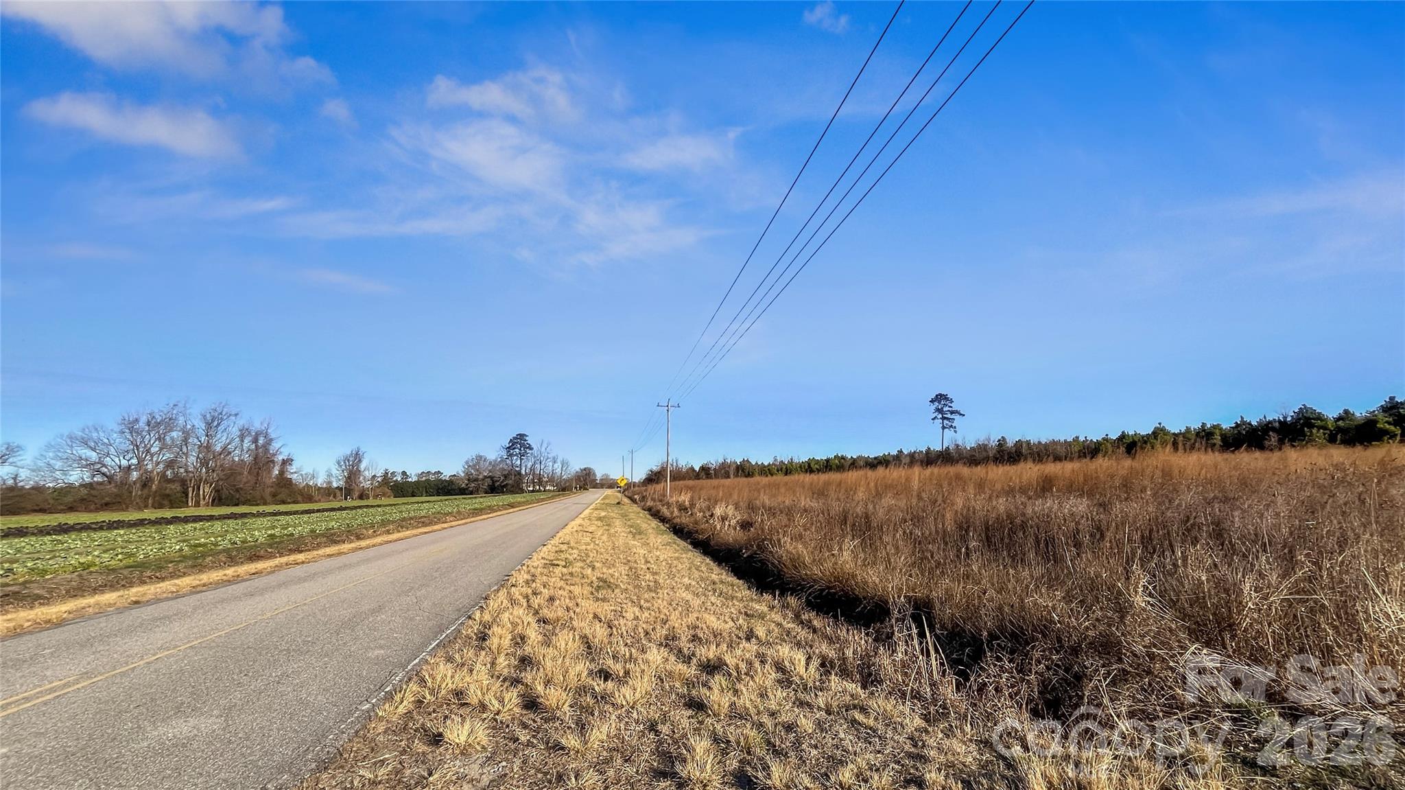 700-ac Earl Davis Road Rose Hill, NC 28458 - Photo 6 of 35 a view of a dry yard with wooden fence