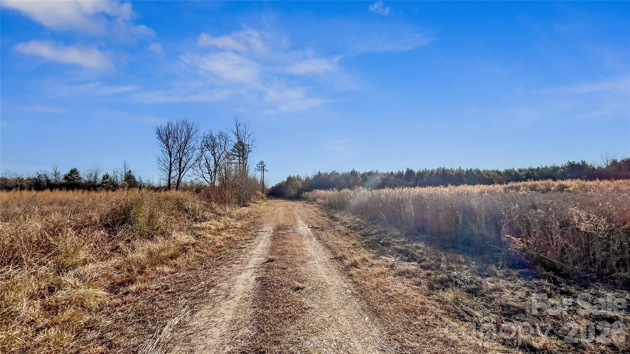 700-ac Earl Davis Road Rose Hill, NC 28458 - Photo 7 of 35 a view of lake with mountain in background