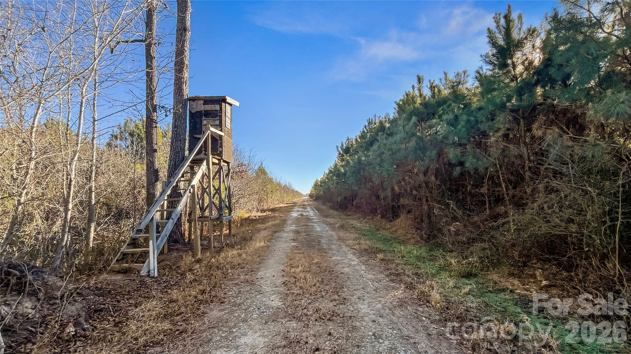 700-ac Earl Davis Road Rose Hill, NC 28458 - Photo 8 of 35 a view of a yard with a tree