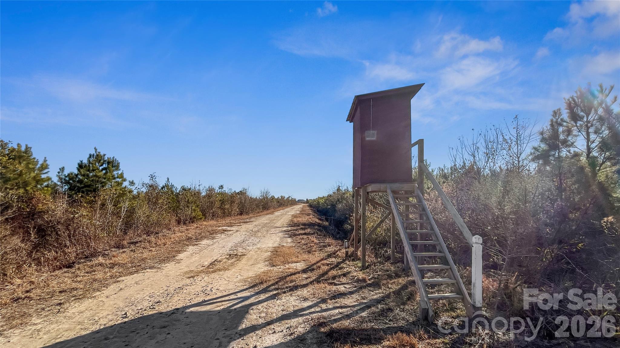 700-ac Earl Davis Road Rose Hill, NC 28458 - Photo 9 of 35 a view of a backyard of the house