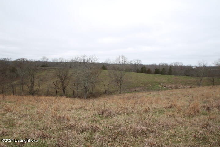 0 Timber Creek Road Lawrenceburg, KY 40342 - Photo 3 of 16 IMG_8045