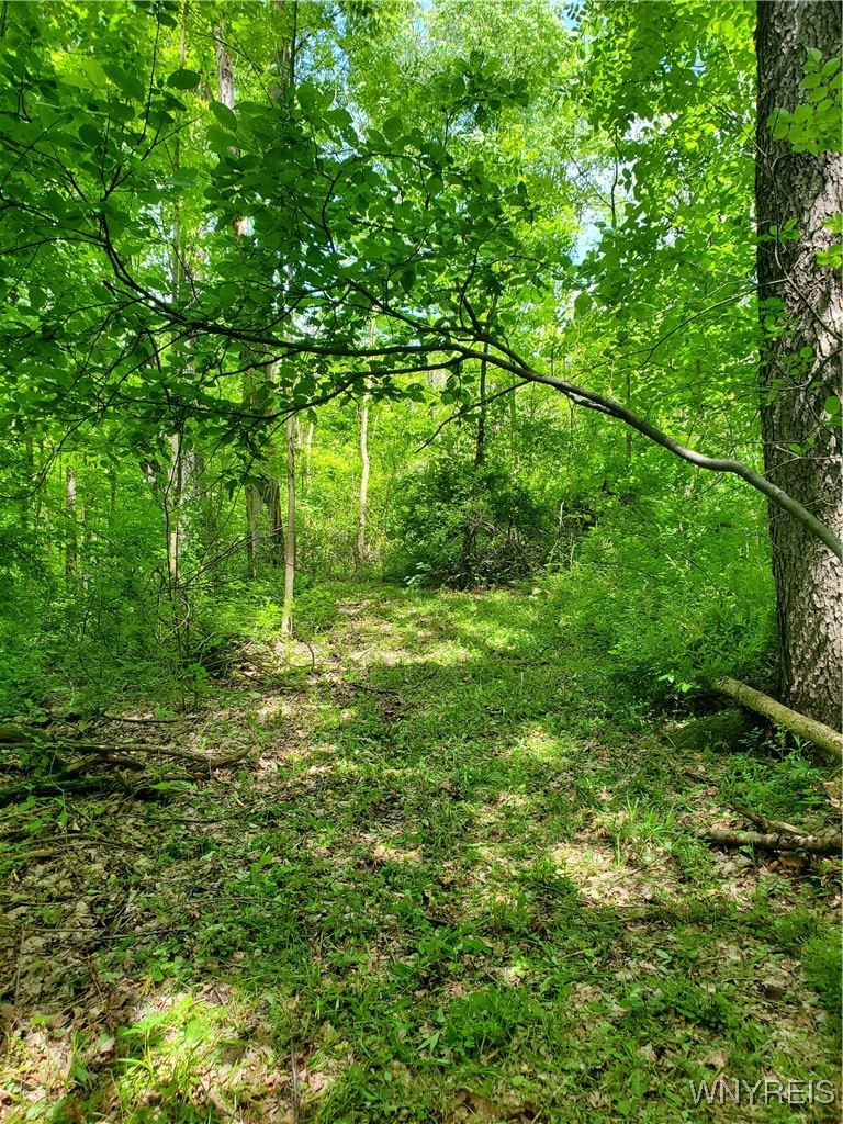 7200 Kent Road Little Valley, NY 14755 - Photo 17 of 43