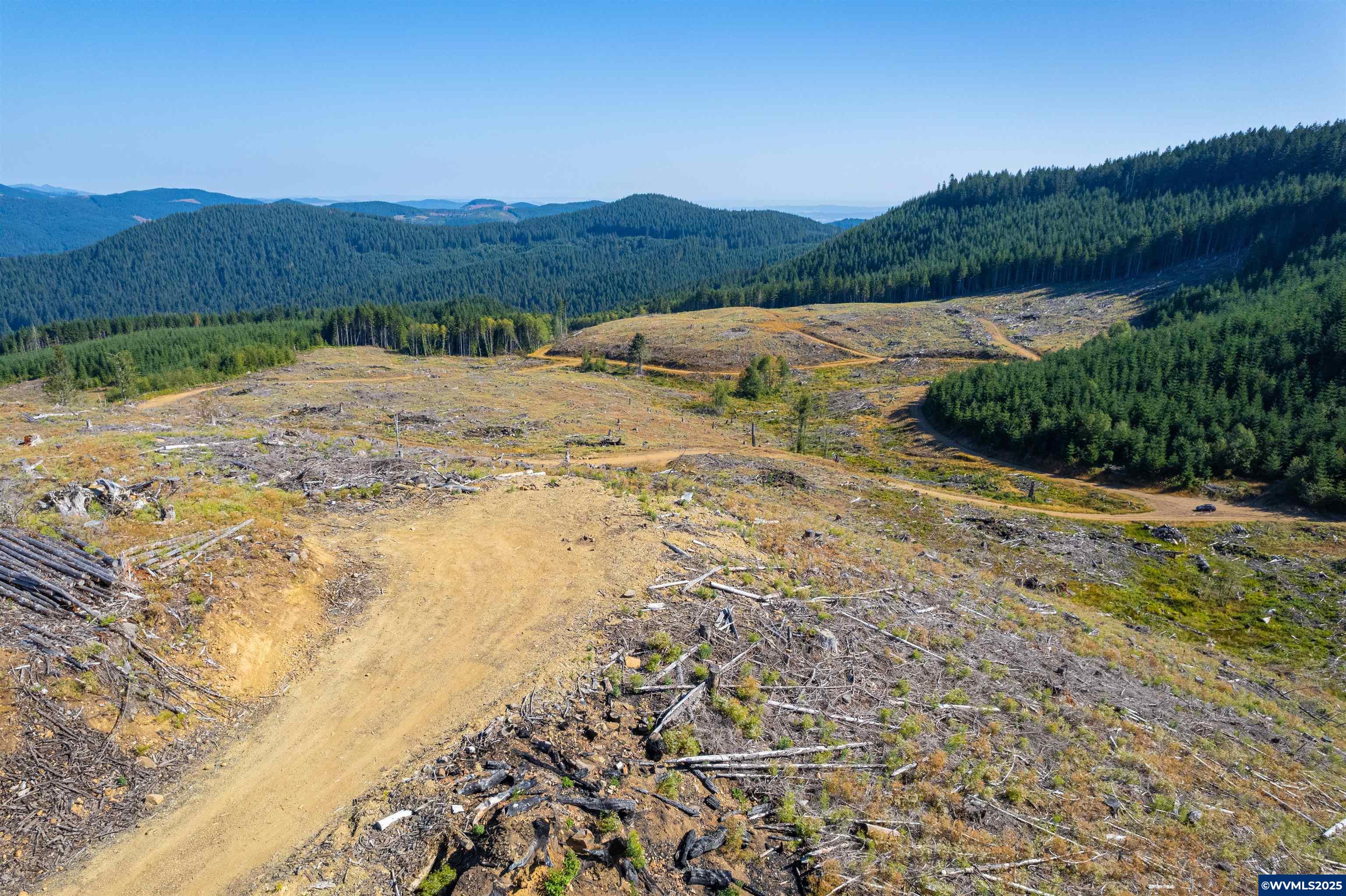 0 Bald Mountain Access Road Willamina, OR 97396 - Photo 7 of 30