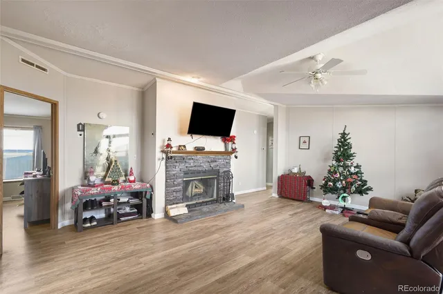 a living room with furniture a flat screen tv and a fireplace