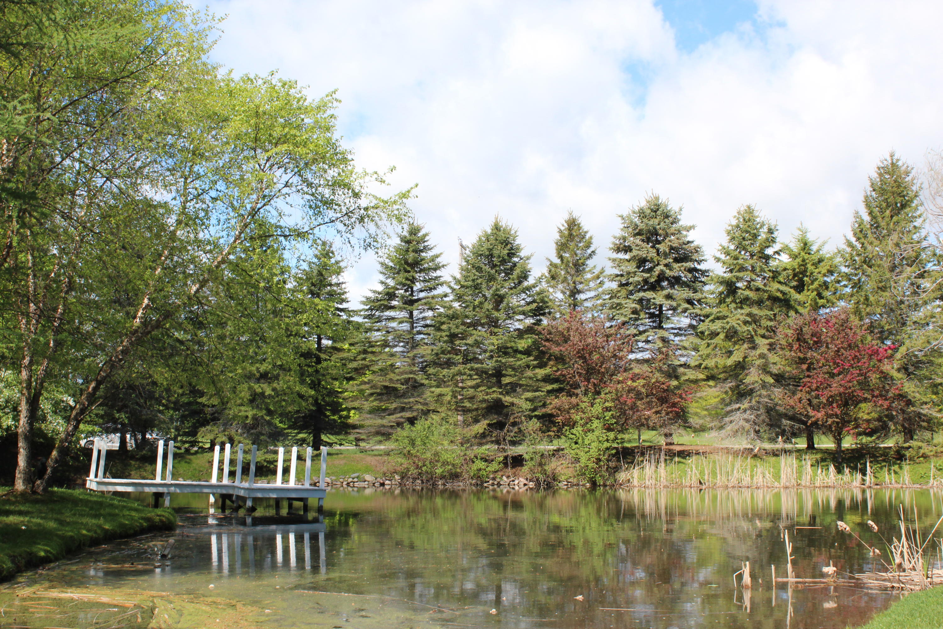 Lake Street Cheboygan, MI 49721 - Photo 8 of 12 Gallery Image 8