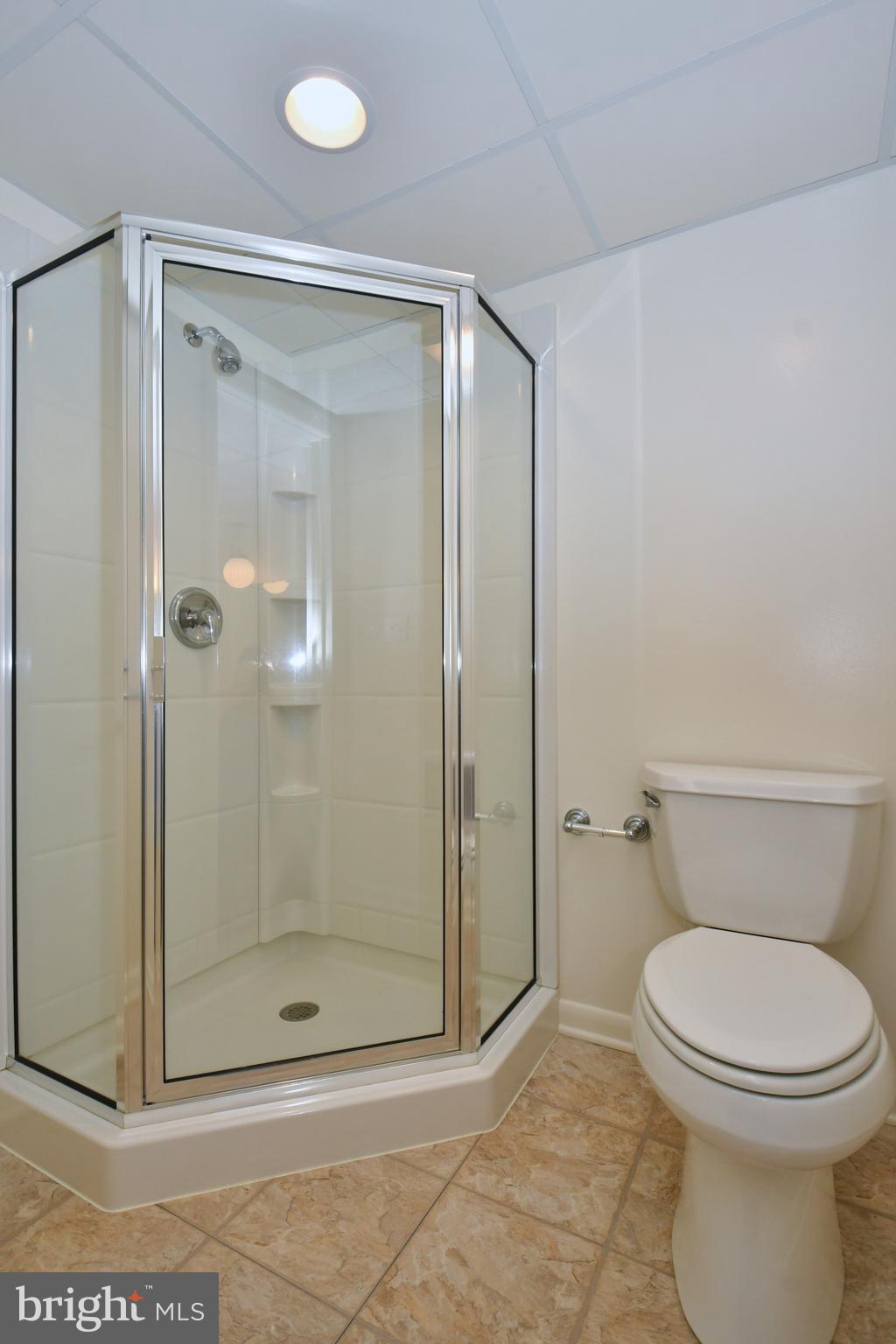 2201 Foley Road Havre de Grace, MD 21078 - Photo 44 of 51 Lower level bath