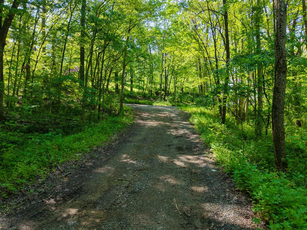 637 American School Road Harmony, PA 16037 - Photo 4 of 21