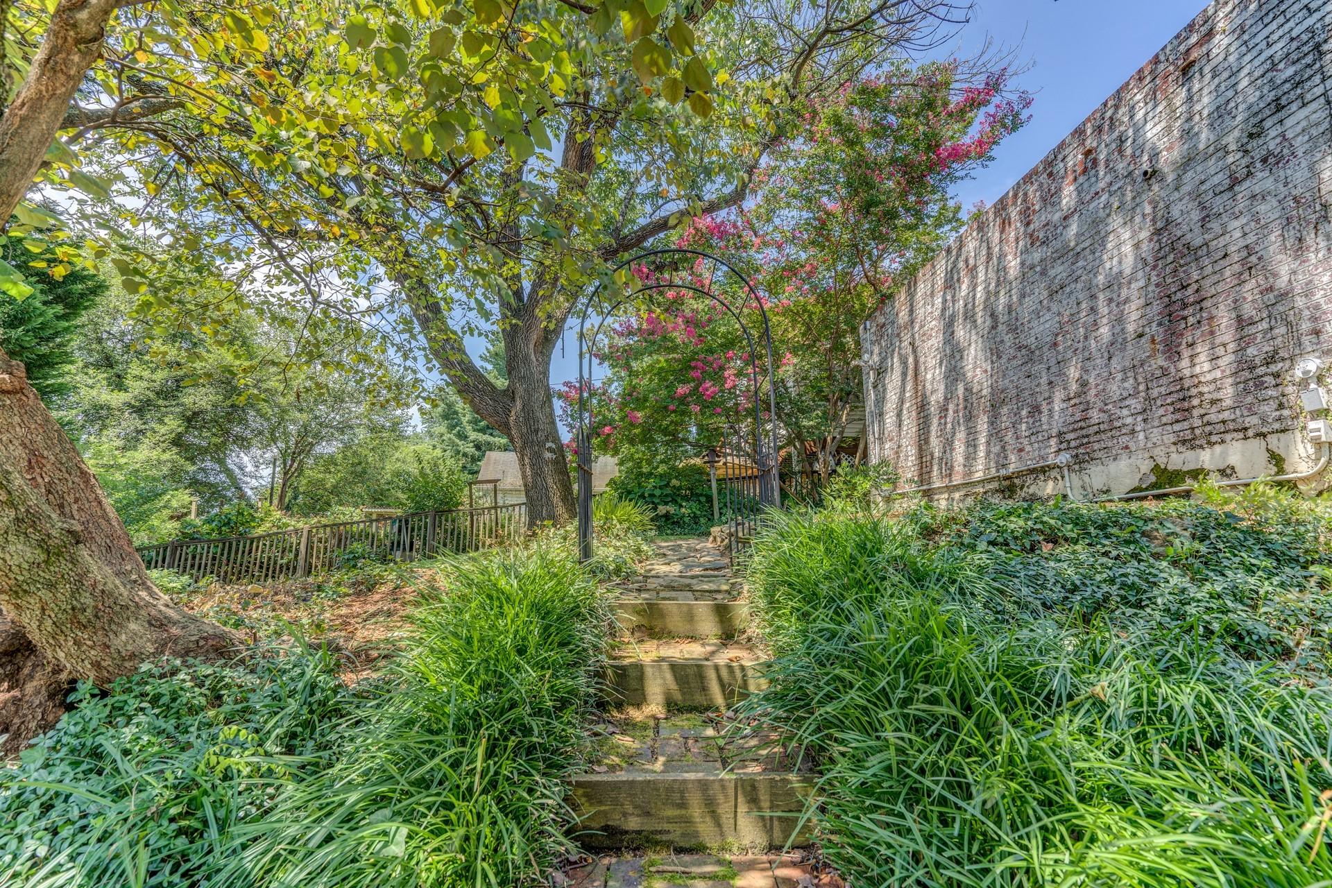 1502 Terrace Road Southwest Roanoke, VA 24015 - Photo 3 of 35 a view of a garden with plants and large trees