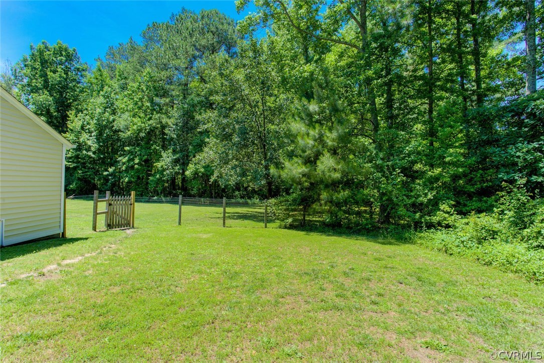 11841 River Road Chesterfield, VA 23838 - Photo 10 of 32 a view of a backyard with a small park