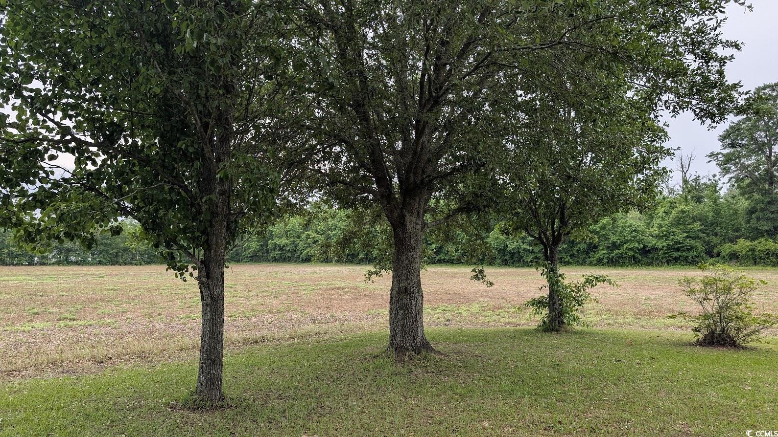 4470 Bethel Road Aynor, SC 29511 - Photo 19 of 22 View of grassy yard