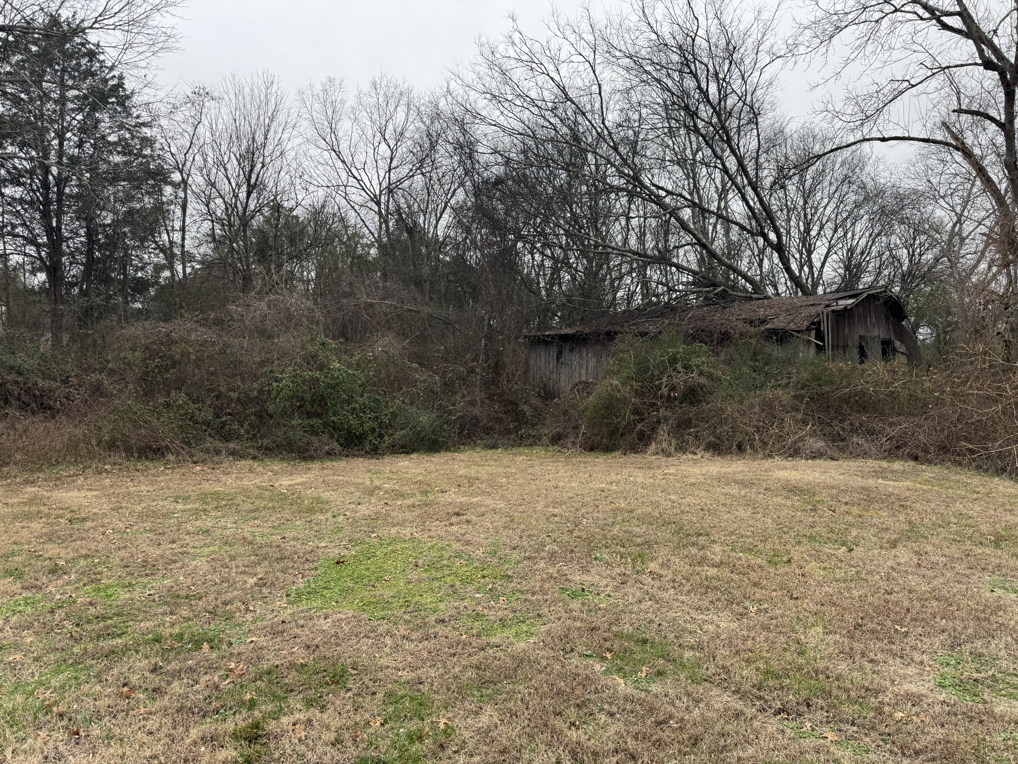 51 Riddleton Circle Riddleton, TN 37151 - Photo 27 of 29 a backyard of a house