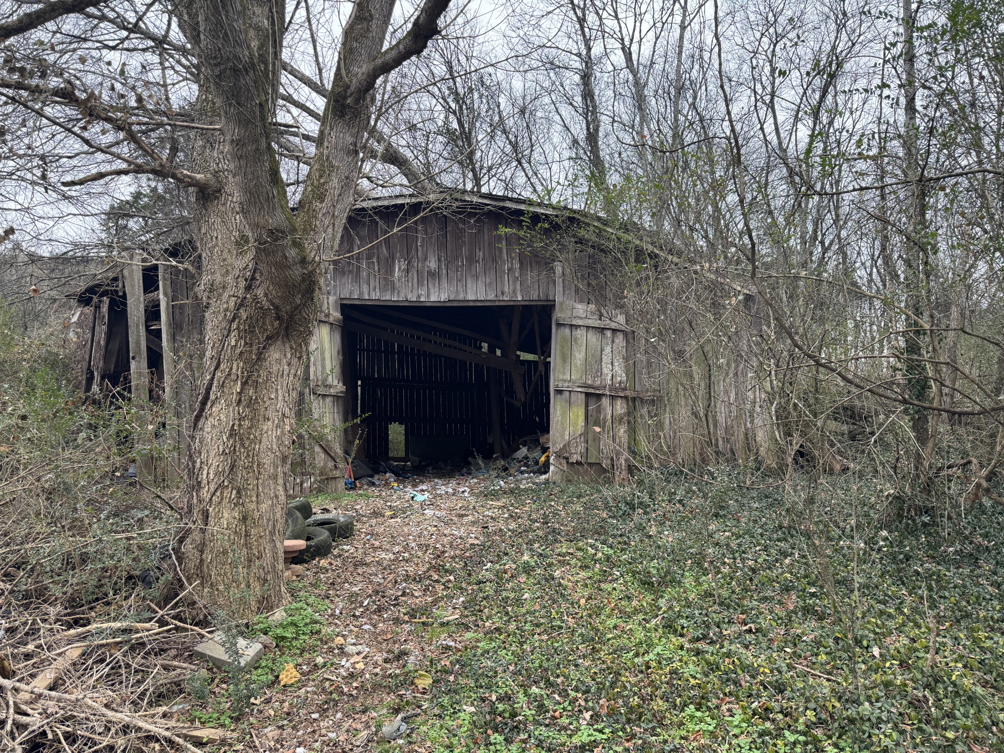 51 Riddleton Circle Riddleton, TN 37151 - Photo 29 of 29 a front view of a house with a yard
