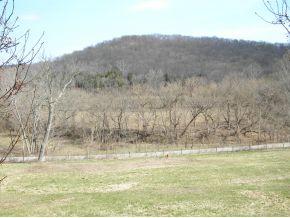 121 Log Lick Road Florence, IN 47020 - Photo 5 of 12