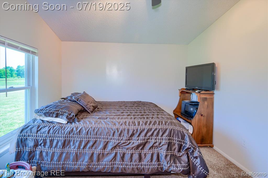 9380 North Lewis Road Clio, MI 48420 - Photo 51 of 64