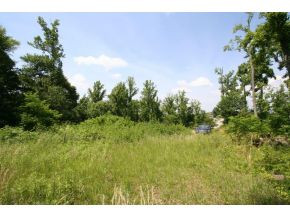 Tbd Chestnut Ridge Lane, Unit 1 Jonesborough, TN 37659 - Photo 1 of 3 Photo 1