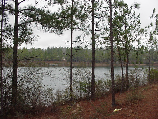 Lot 10 Indian Mound Road Crestview, FL 32539 - Photo 1 of 1 a view of a backyard of the house