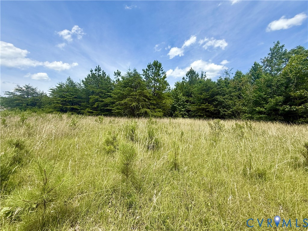 Lot 25 Whispering Wood Road Meherrin, VA 23954 - Photo 8 of 13