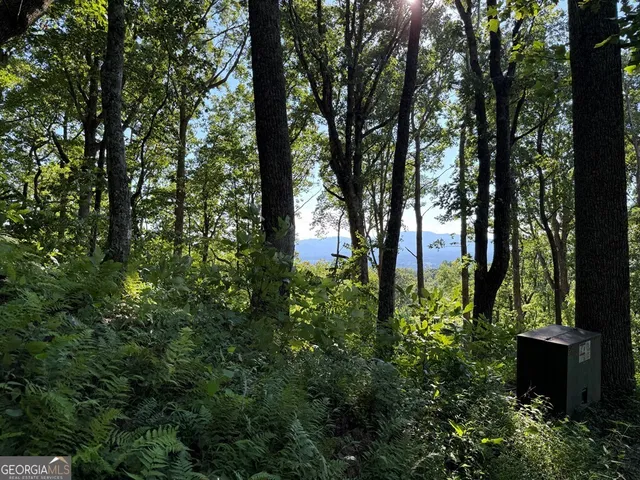 a view of statue in the garden