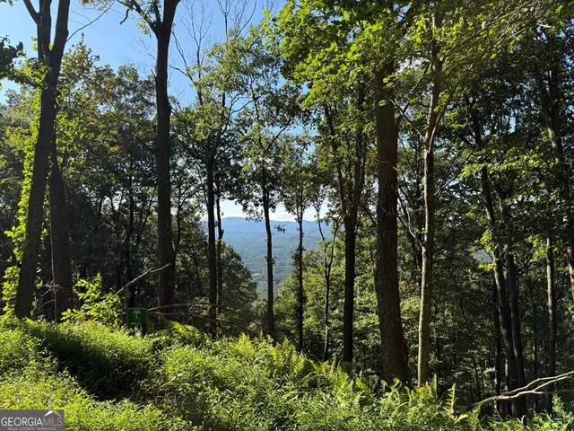 a view of a yard with plants and a tree