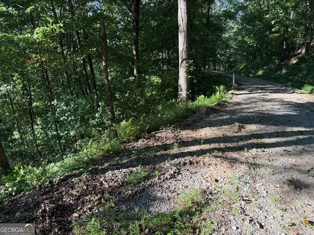 an aerial view of a house with a yard and large trees