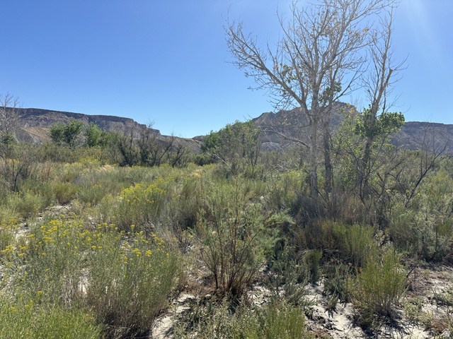 1950 East Highway 24 Torrey, UT 84775 - Photo 17 of 19
