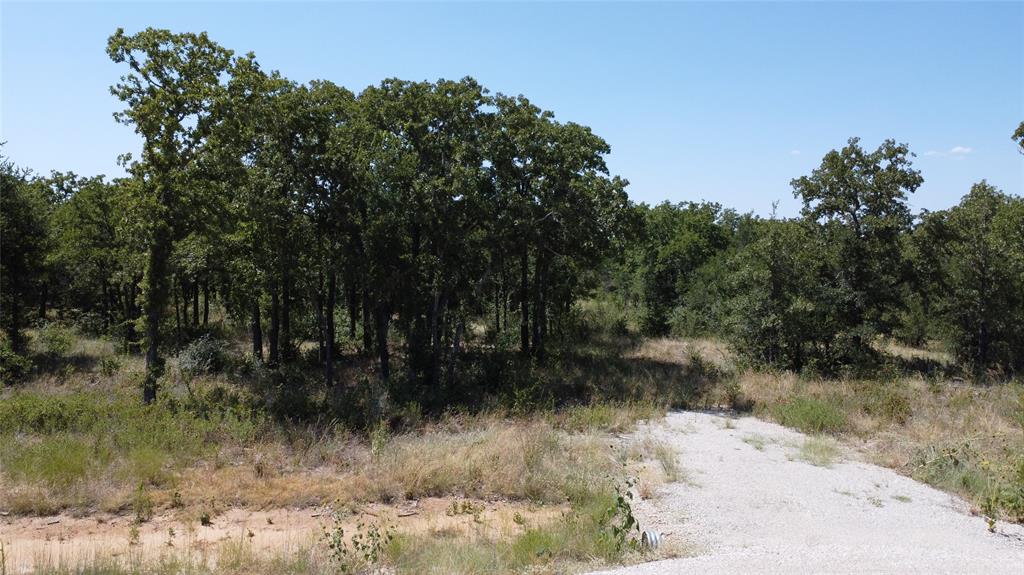 Lot 57 Paradise Oaks Ranch Graford, TX 76449 - Photo 3 of 14 a view of a yard with a tree