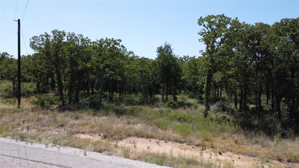 Lot 57 Paradise Oaks Ranch Graford, TX 76449 - Photo 4 of 14 a view of a forest filled with trees