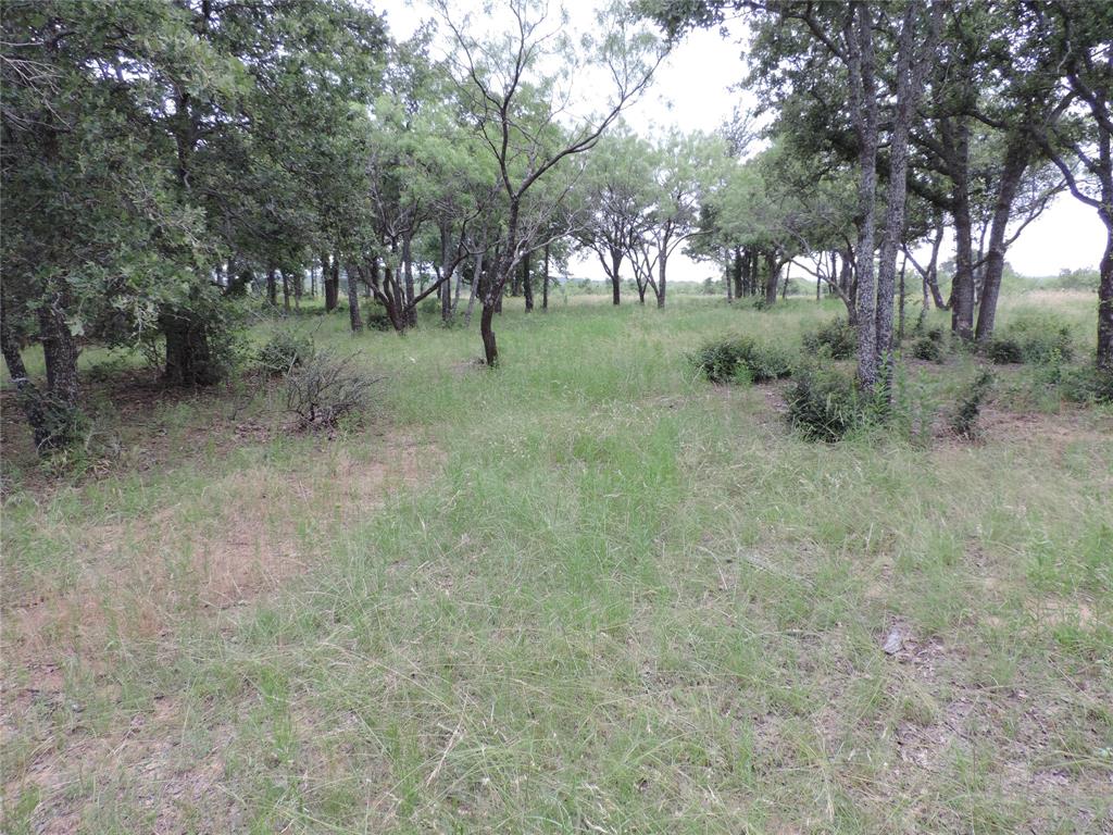 Lot 57 Paradise Oaks Ranch Graford, TX 76449 - Photo 9 of 14 a view of a forest with trees in the background