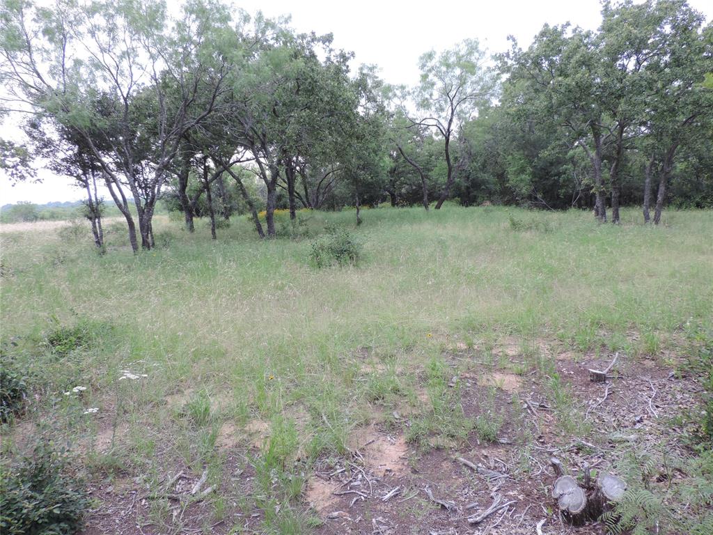 Lot 57 Paradise Oaks Ranch Graford, TX 76449 - Photo 10 of 14 a view of a forest with trees in the background
