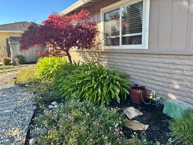 a backyard of a house with lots of green space