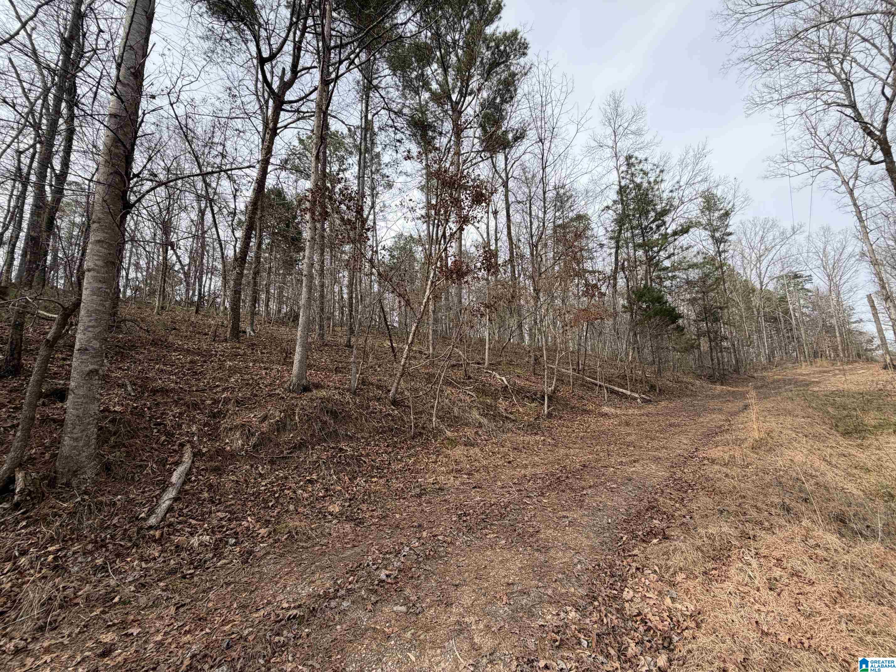 0 James Lake Road, Unit 1 Trussville, AL 35173 - Photo 4 of 18