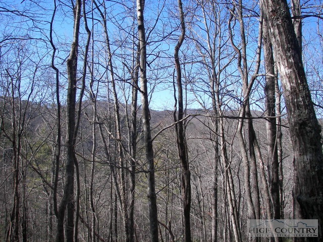 Sumac Deep Gap, NC 28618 - Photo 1 of 1 a view of a yard with lots of trees