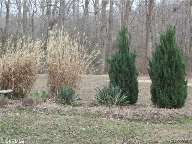 6956 Sandy Ridge Road Hopewell, VA 23860 - Photo 20 of 20 Land/Lot