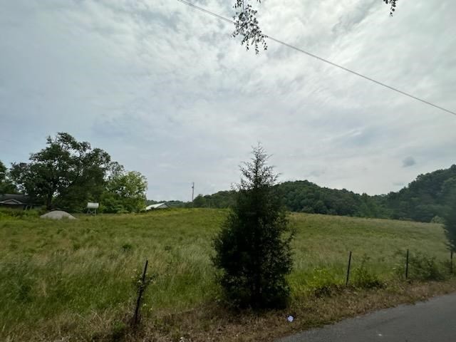 0 Stanton Road Seymour, TN 37865 - Photo 7 of 35 Gallery Image 7