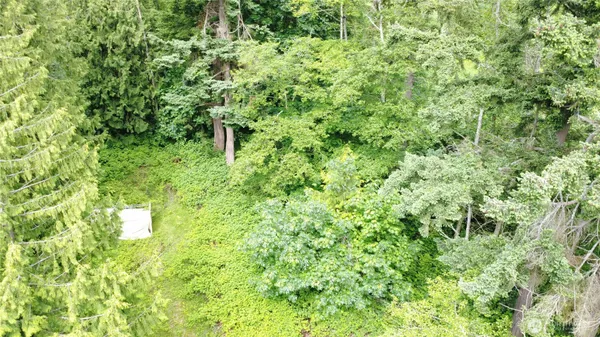 $25,000 | 99 A Port Susan Drive, Hat Island, WA 98201