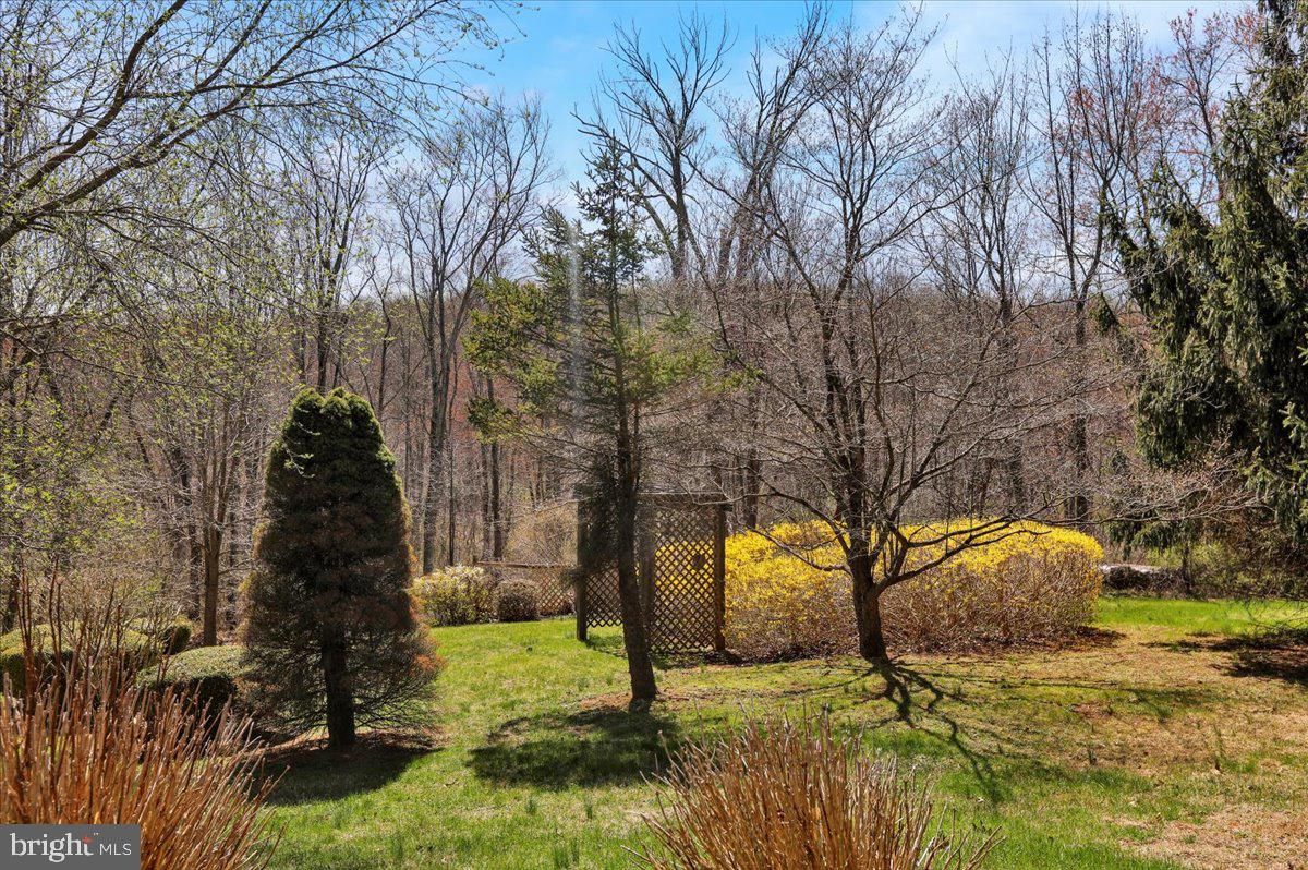 982 Fairview Road Glenmoore, PA 19343 - Photo 45 of 74 a view of yard