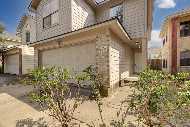 a view of a potted plants next to a building