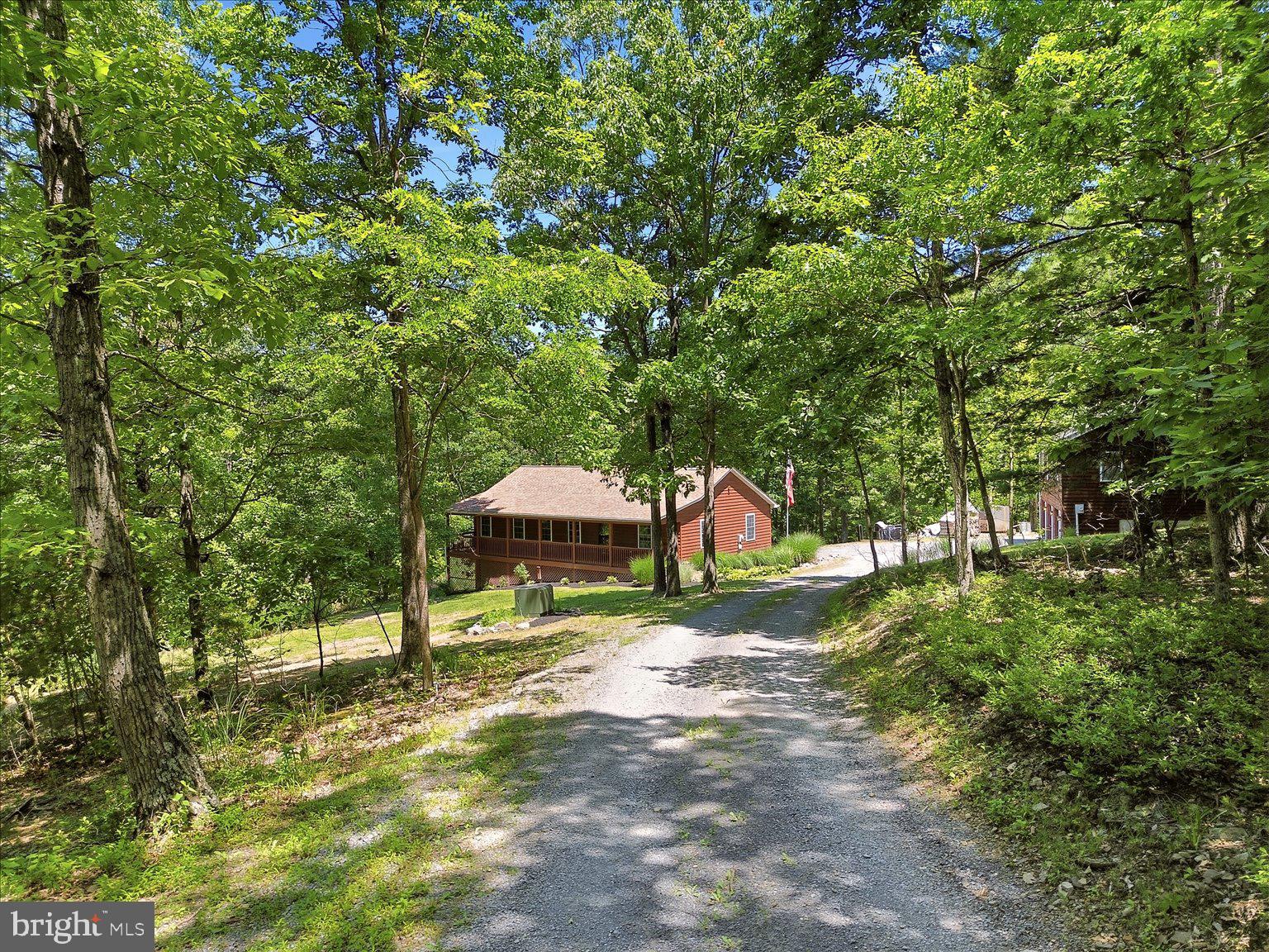 323 South Timber Ridge Road Cross Junction, VA 22625 - Photo 92 of 109 Serene woodland retreat awaits you.