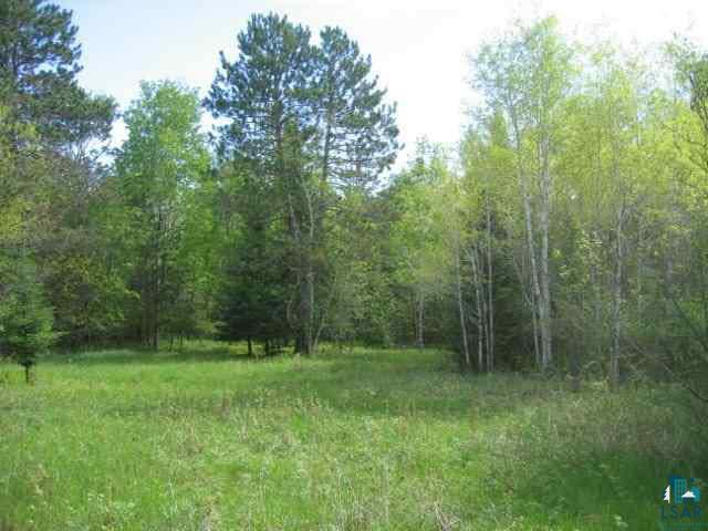 Xxx West Delta Road Iron River, WI 54847 - Photo 4 of 10