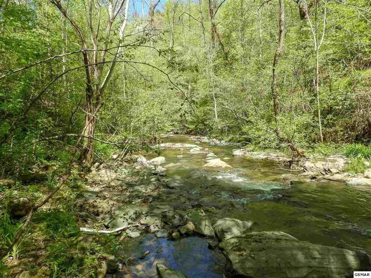 7 Old Birds Creek Road Sevierville, TN 37876 - Photo 15 of 15