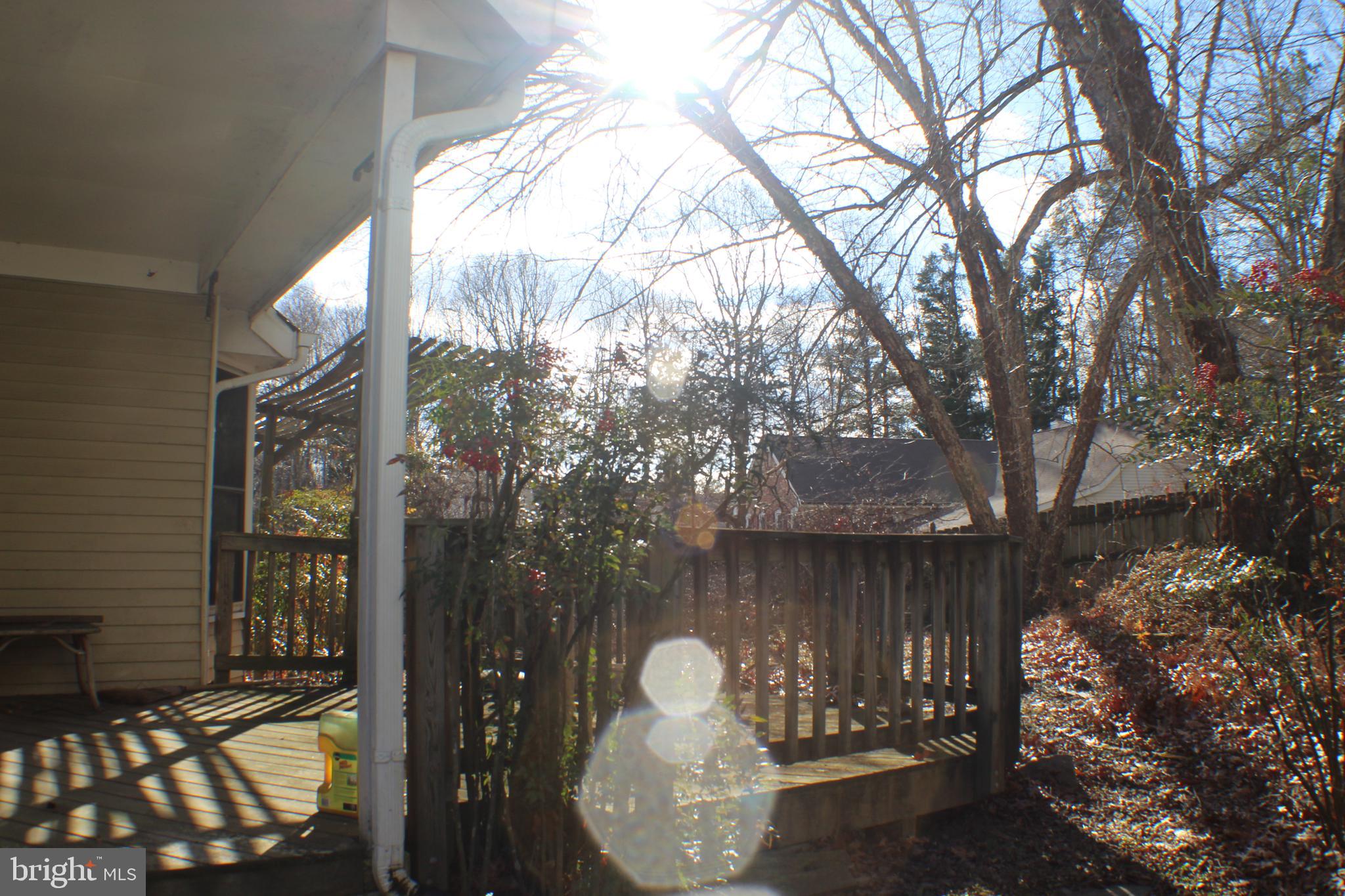 9217 Dorothy Lane Springfield, VA 22153 - Photo 16 of 76