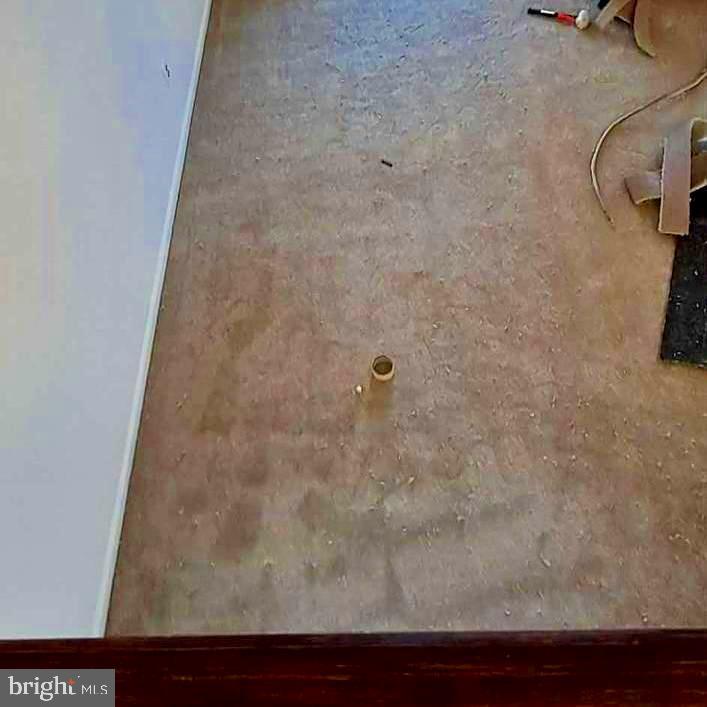 9217 Dorothy Lane Springfield, VA 22153 - Photo 28 of 54 nerw carpet