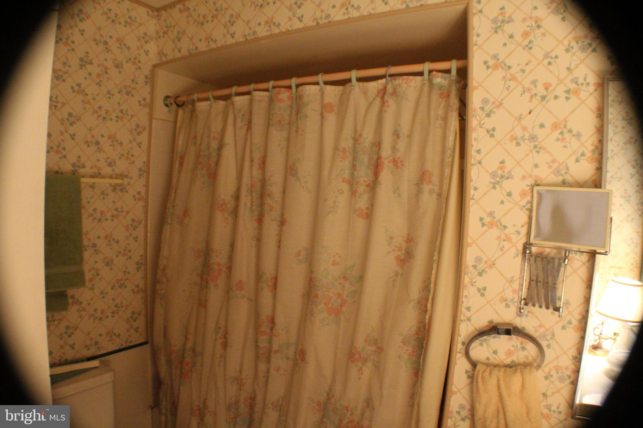 9217 Dorothy Lane Springfield, VA 22153 - Photo 33 of 76