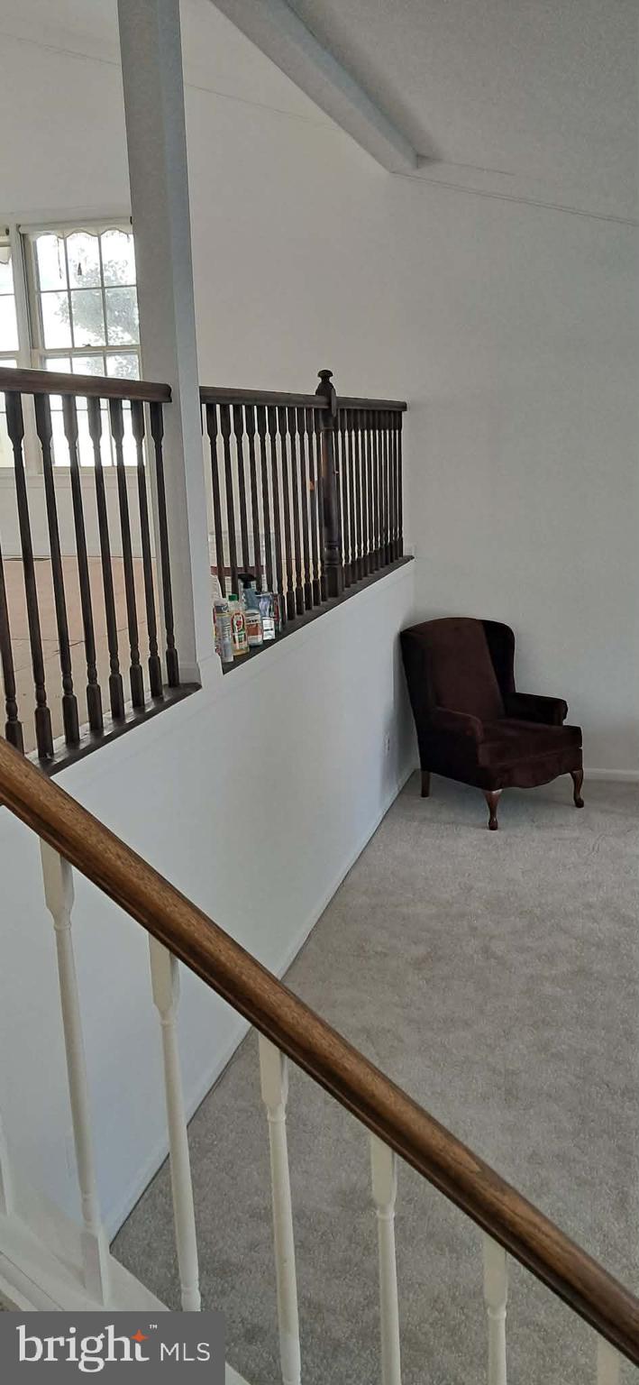 9217 Dorothy Lane Springfield, VA 22153 - Photo 51 of 54