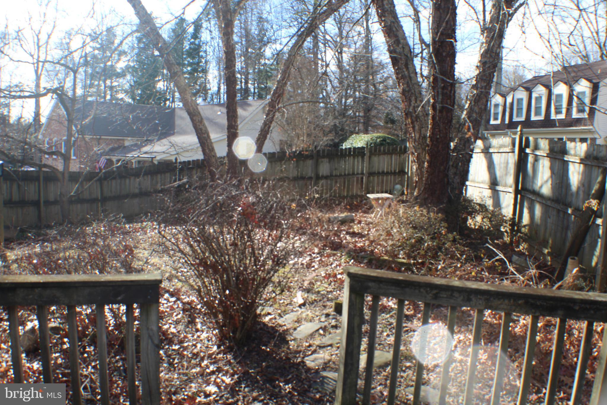 9217 Dorothy Lane Springfield, VA 22153 - Photo 7 of 76