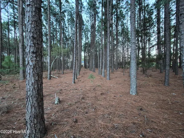 $95,000 | 3 Milla Court, Jackson Springs, NC 27281