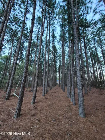 $95,000 | 3 Milla Court, Jackson Springs, NC 27281