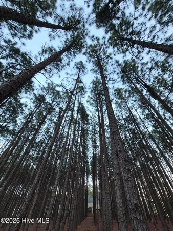 $95,000 | 3 Milla Court, Jackson Springs, NC 27281