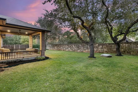 a view of a yard with a large tree