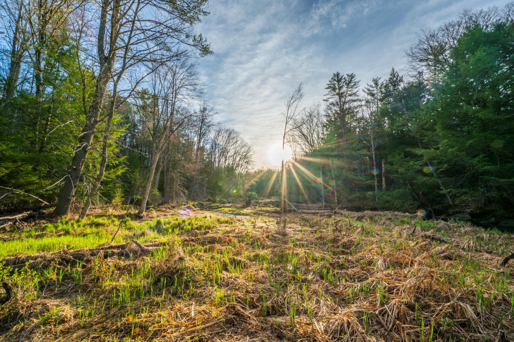 292 Baker Road North Sutton, NH 03260 - Photo 43 of 46